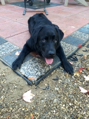 Maizy_20211107_05