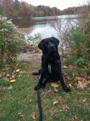 Maizy_20211113_10