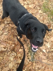 Maizy_20211208_14