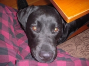 Maizy_2022-06-02_001