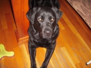 Maizy_2022-06-02_003