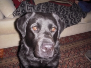 Maizy_2022-06-02_004