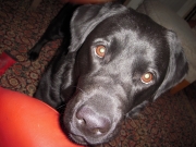 Maizy_2022-06-02_005