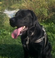Maizy_2022-09-19_009