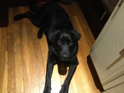 Maizy_20220109_01