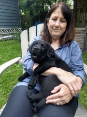 Puppy_2021-06-14_20