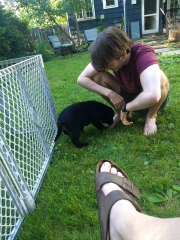 Puppy_2021-06-14_21