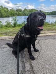 Maizy_20230613_01
